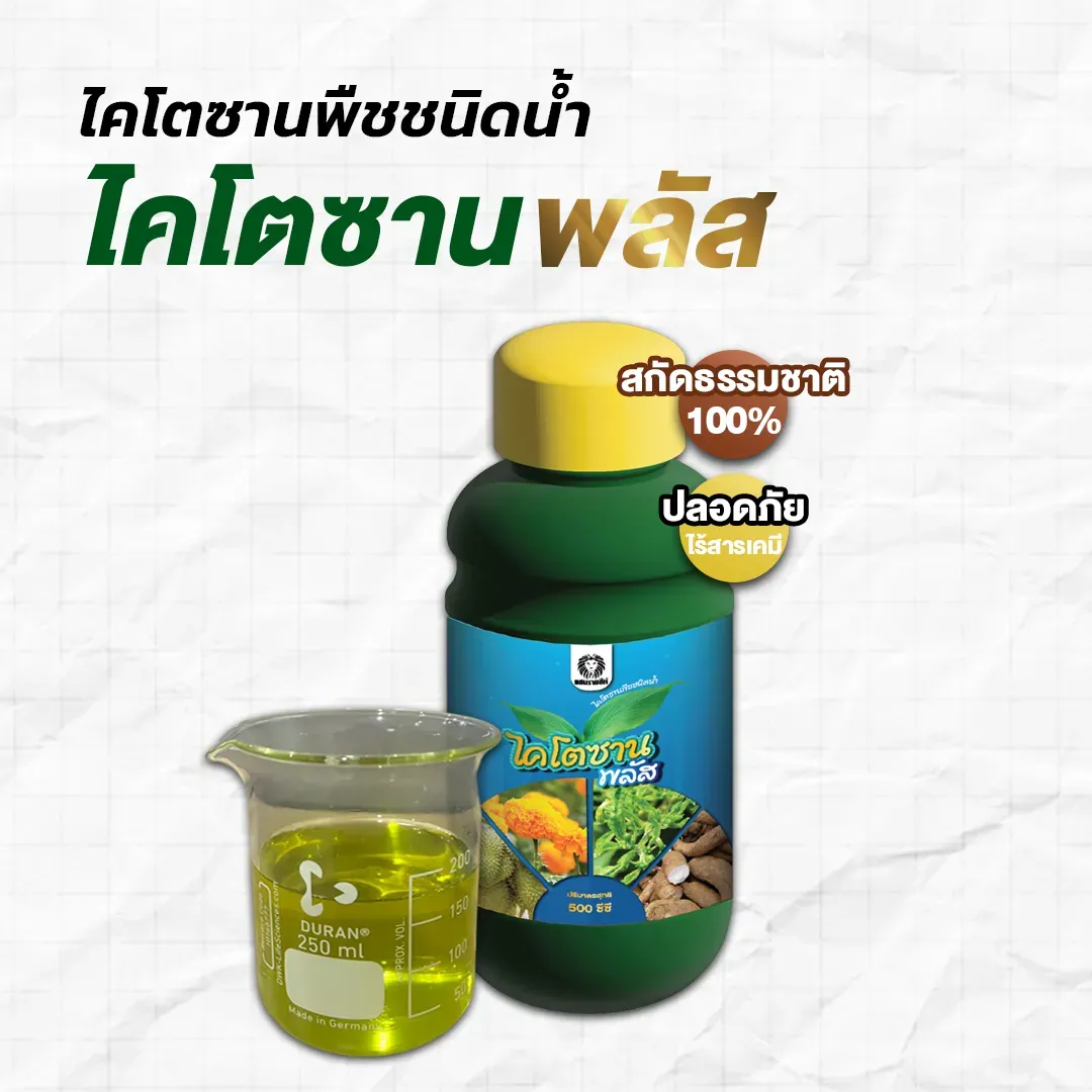 ไคโตซานพลัส